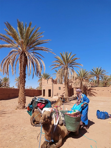Marokko - De Marokkaanse Sahara